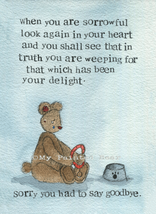 Your delight my painted bear